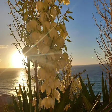 Palazzo Sardanelli 3*