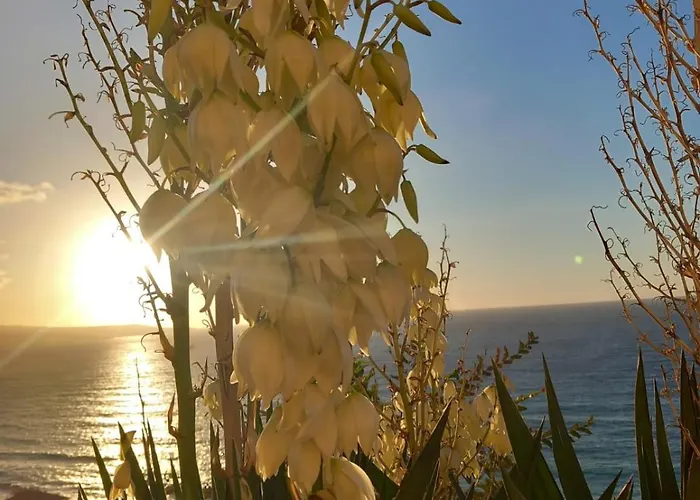 Palazzo Sardanelli 3*